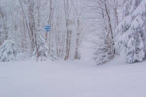 paysage_enneige_mont_sutton