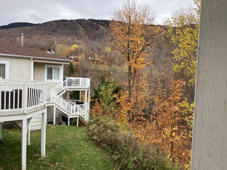 Condo a louer pour la saison de ski